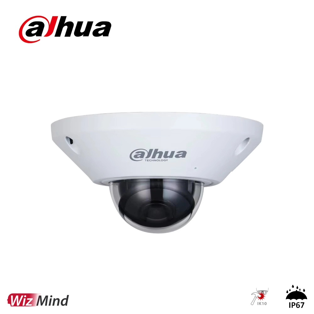 Dahua IPC-EB5541-AS 5MP IP Sesli Fisheye Kamera | Site Adı